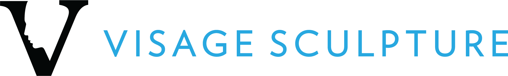 Visage Sculpture